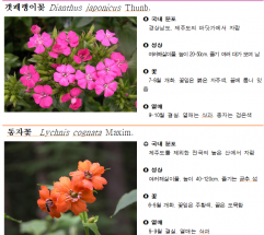 환경부, 국립생물자원관·서울식물원 자생식물 보급 확대를 위한 업무협약 체결