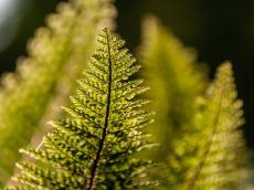 대한민국정부 “산불예방, 각별한 관심과 협조 必”