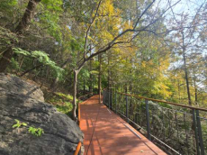 친환경 공법 적용해 자연 훼손 최소화한 무장애산책로 '남산 하늘숲길' 개통