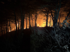 강원 고성 산불발생... 산림당국 완료