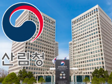 산림청, 강원 춘천 산불 진화 완료