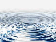 ‘세계 물의 날’ 맞아 확산되는 기업·시민 참여! 꾸준한 관심 必