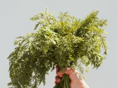 중고거래가 환경을 살린다? ‘순환경제’의 빛과 그림자